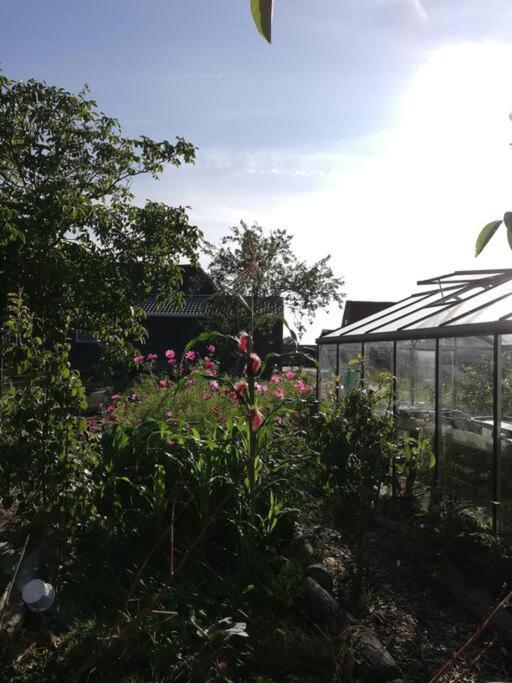 De Kaasmakerij - Ruim Vakantiehuisje Op Huize Blokland Hem Exterior photo